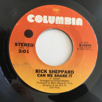 レアSOUL45s Perfection – Please Pardon Me レアSOUL45s Perfection – Please Pardon Me レアSOUL45s Perfection